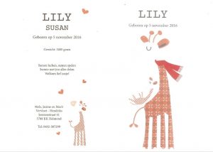 2016-geboortekaartje-lily-vervloet